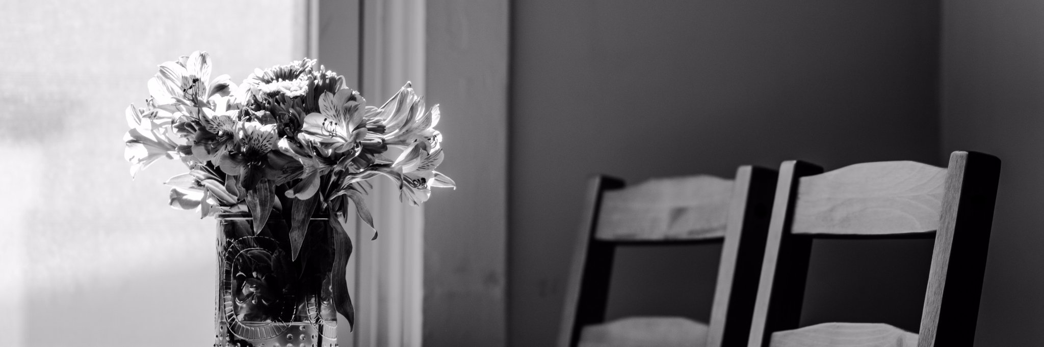 jbutewicz's profile banner image