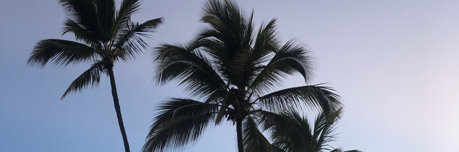 AntoniaRyan12's profile banner image