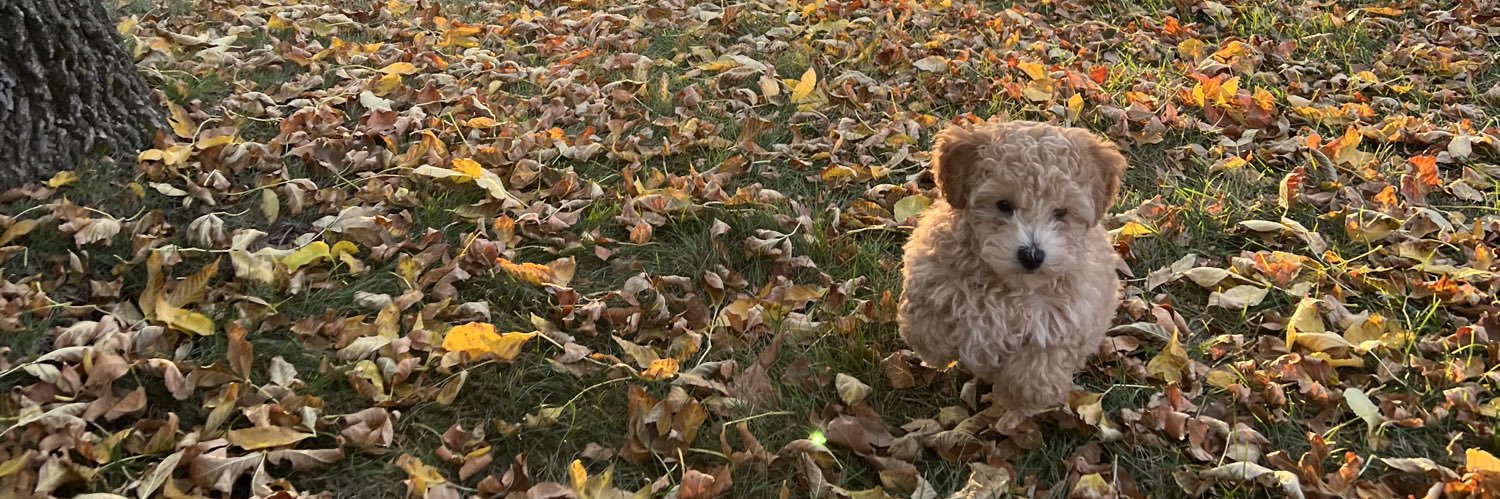 ElderLizzy's profile banner image
