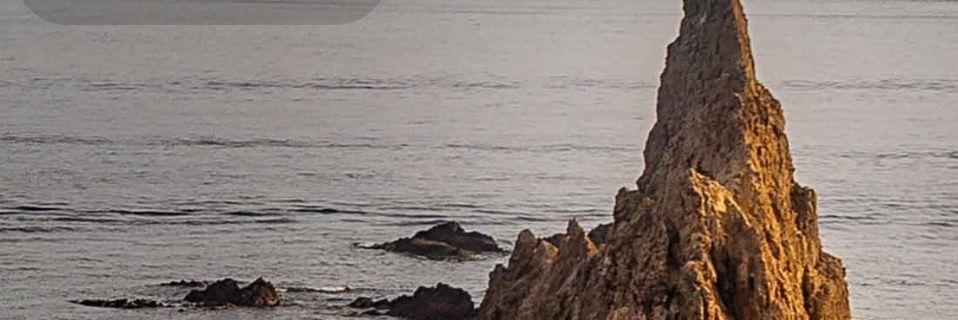 DynJarin Downing banner