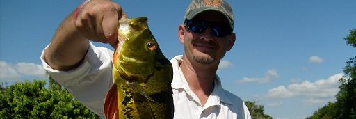 robinfitzgerl's profile banner image