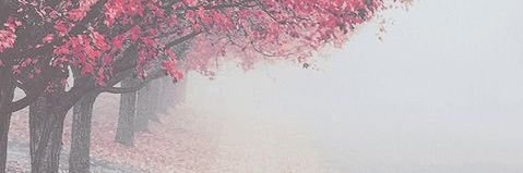 bakoot8's profile banner image