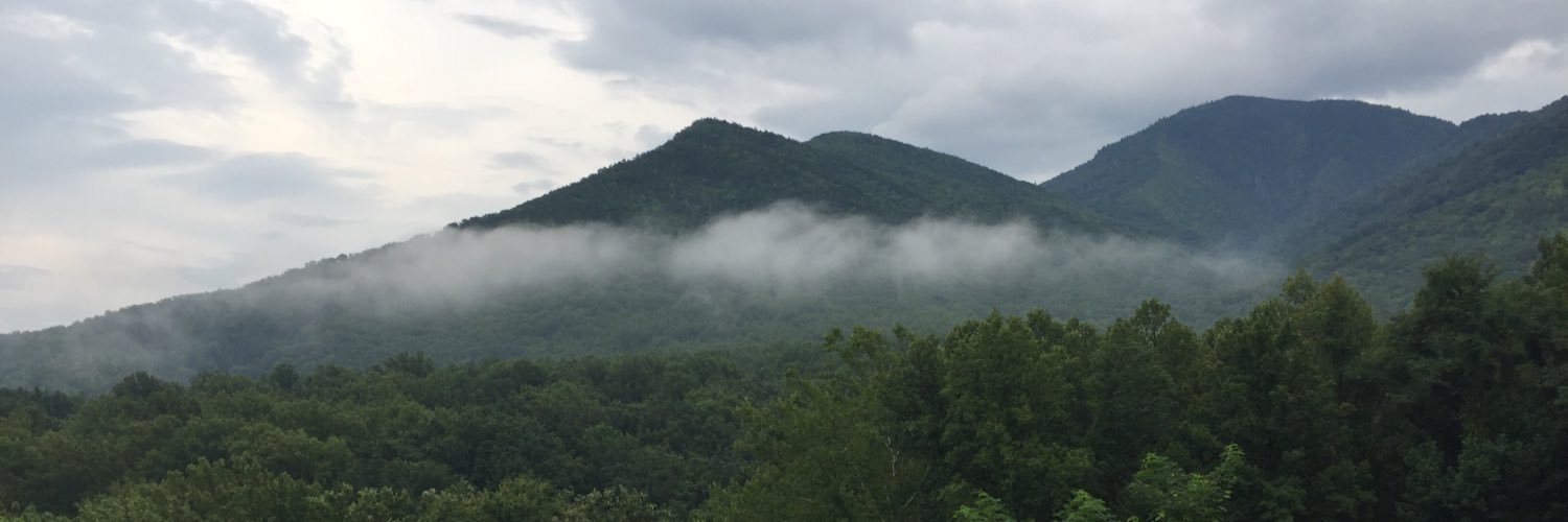 5thgradegreen's profile banner image