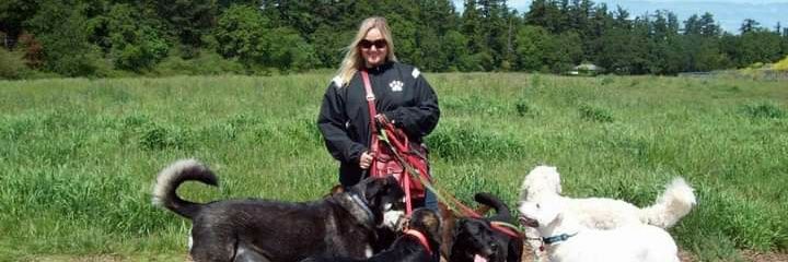 Stephanie_KJ's profile banner image