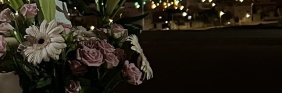 Aysha. banner