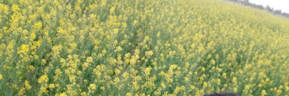 devendra3892's profile banner image