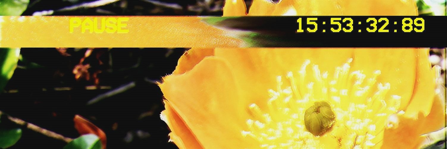 alittle2daniel's profile banner image