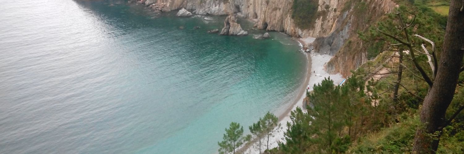 ingeopeter's profile banner image