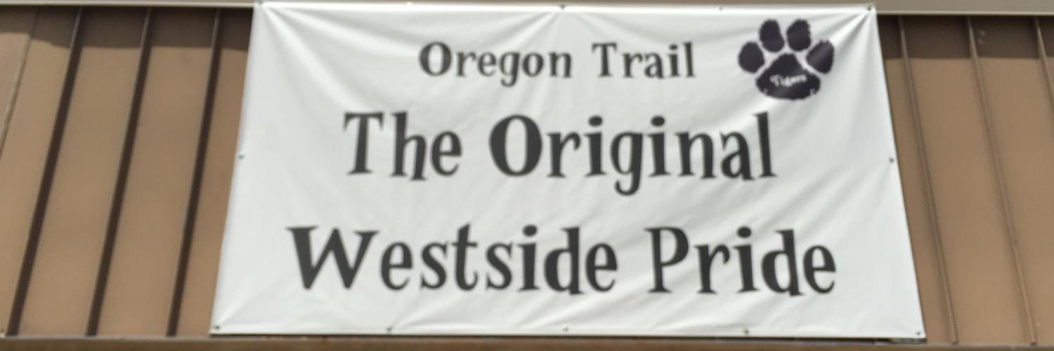 otmstigers's profile banner image