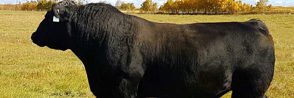 cmtfarms_'s profile banner image