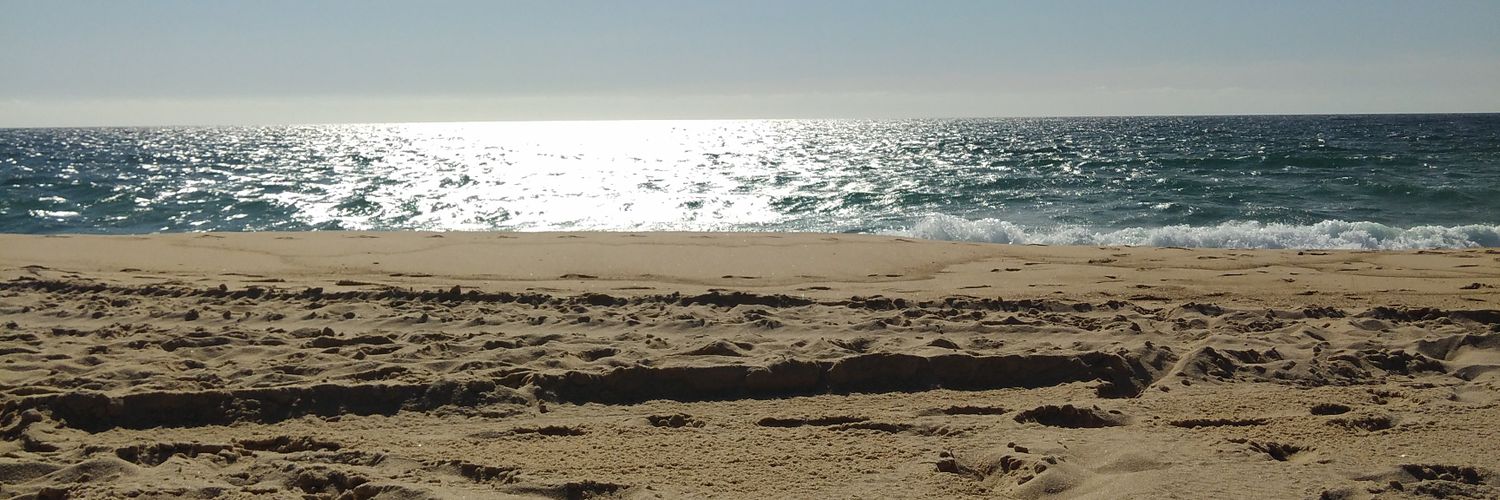 sergioomax's profile banner image