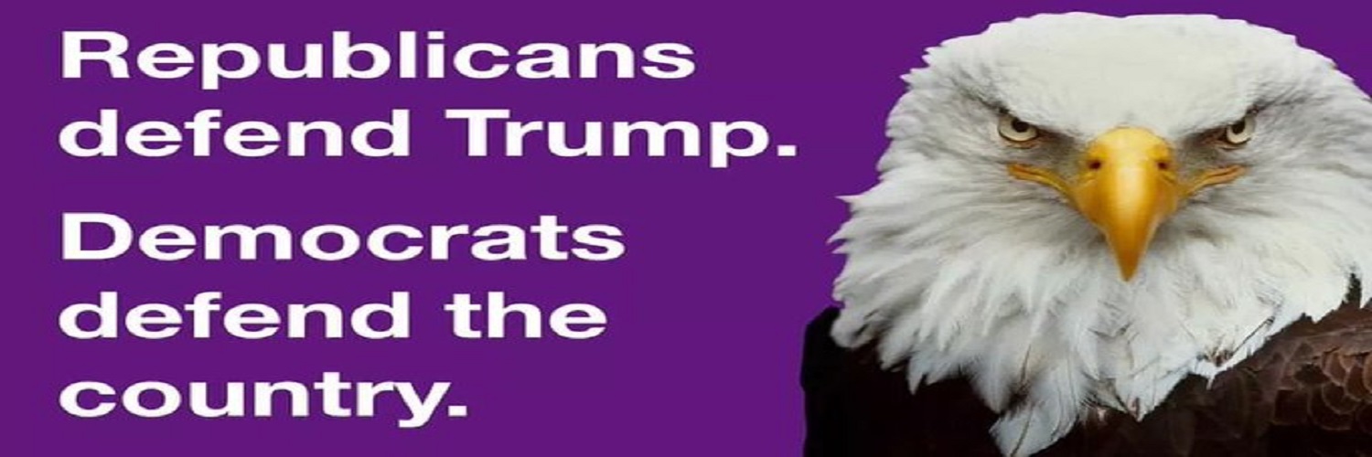 CuriousCheeze banner