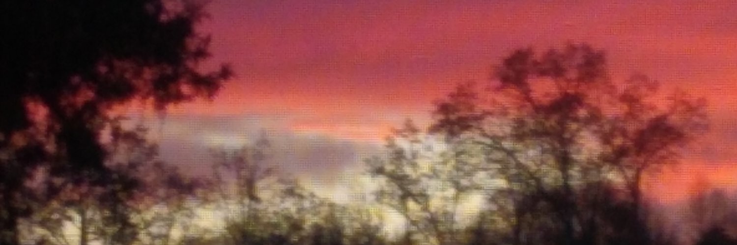 liltrina80's profile banner image