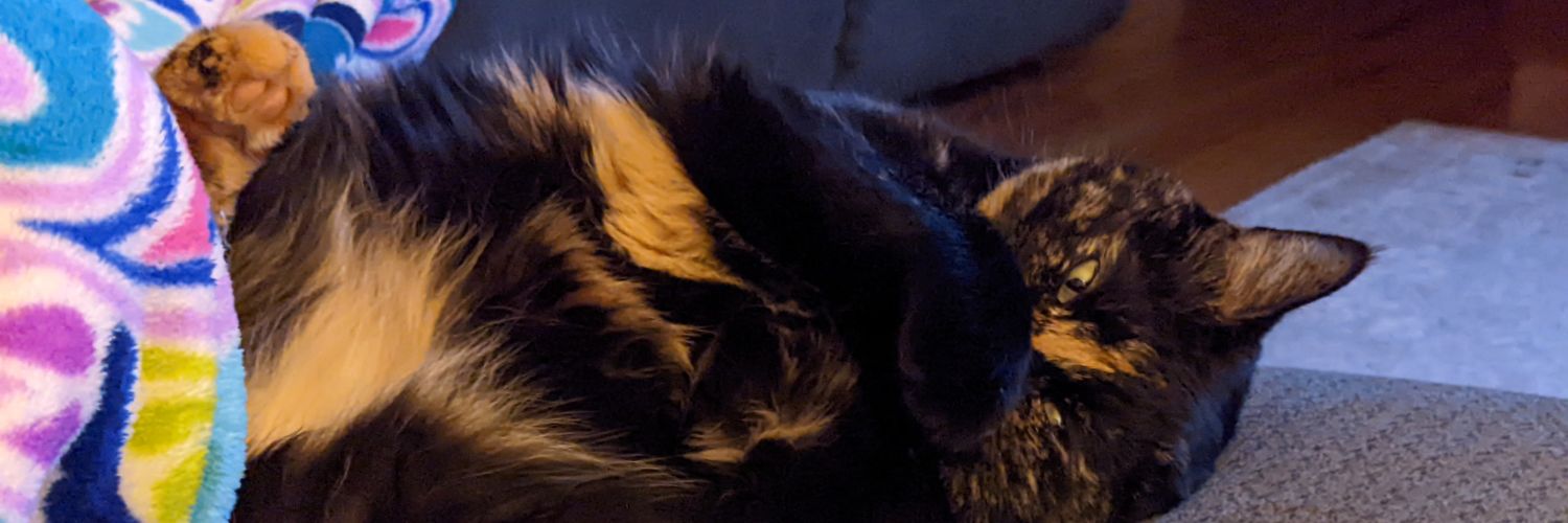 me_trusty's profile banner image