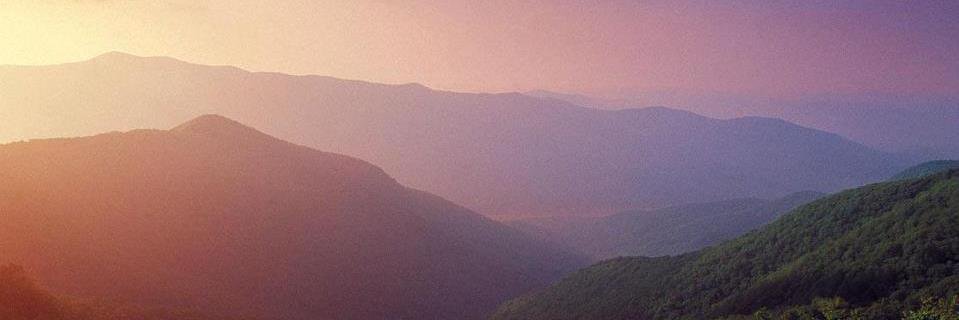 SirHorrocks's profile banner image