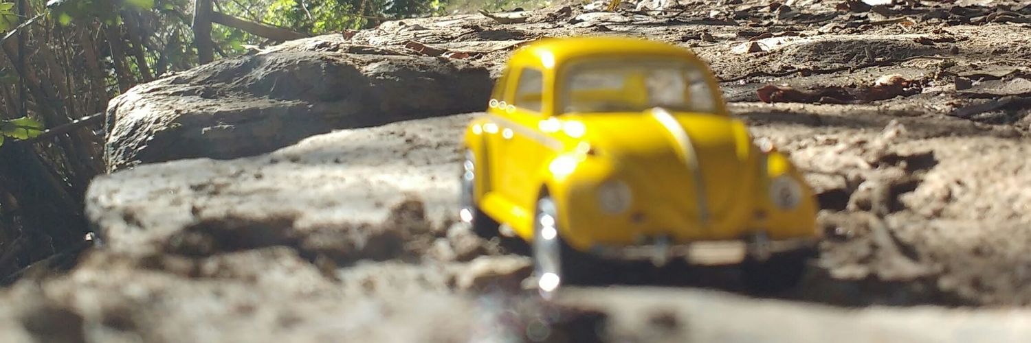PaoCastroStraus's profile banner image
