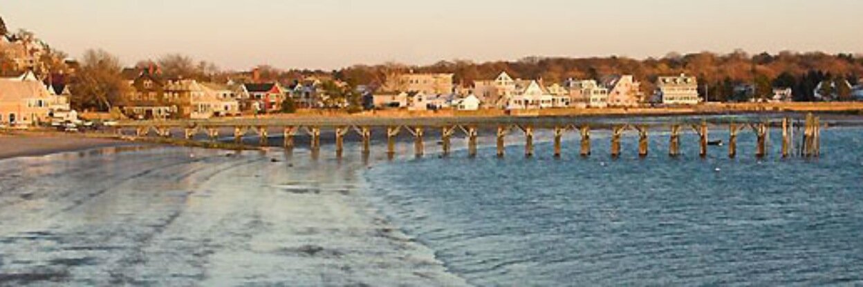 anne_driscoll's profile banner image