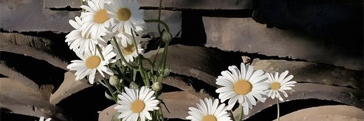 rxoulest's profile banner image