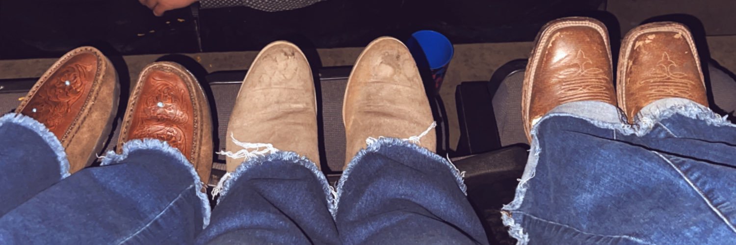 Haley's comet banner