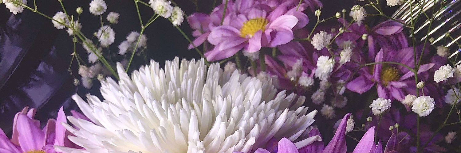 🌟 Pro 🌟 banner