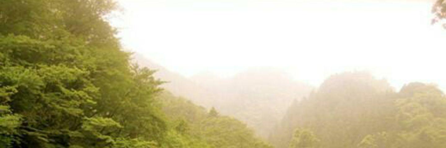 khalid_braik's profile banner image