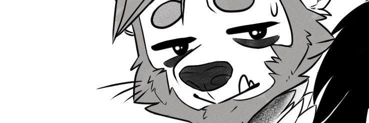 Kavo ( kavo.cc ) banner