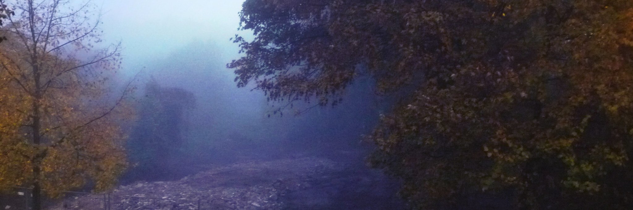 Nocta's profile banner image