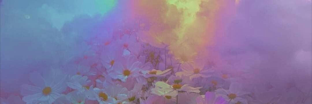 ccitams's profile banner image