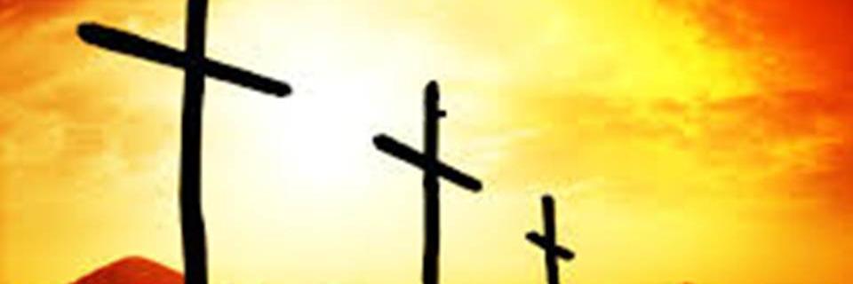 salmosdevida's profile banner image