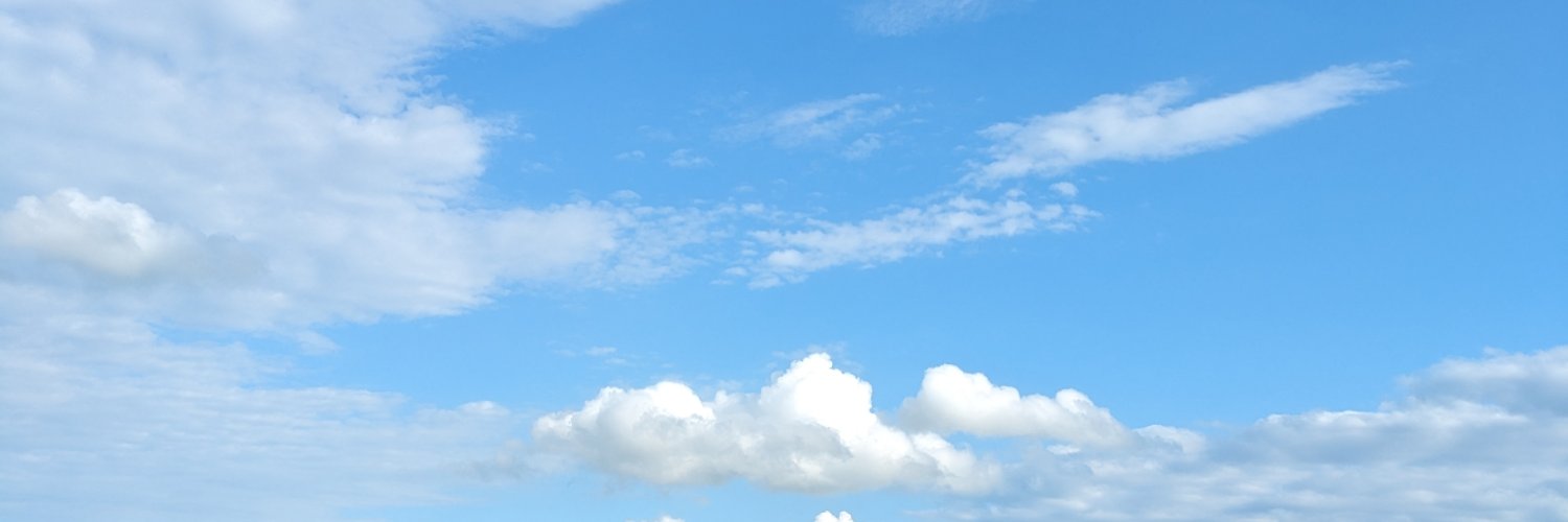 Rachel Maye banner