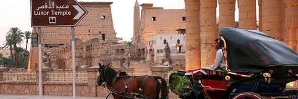 tut_ankhamon's profile banner image