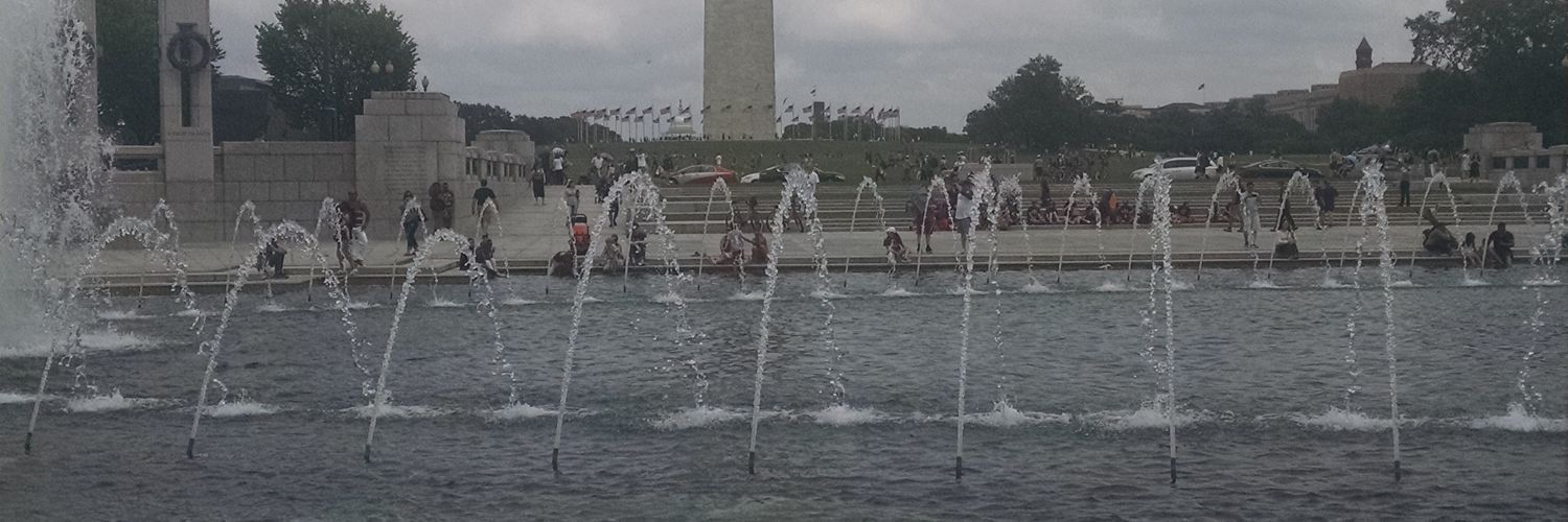 Colleen D'Anna banner