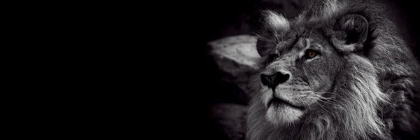 Coach_Blaize Profile Banner