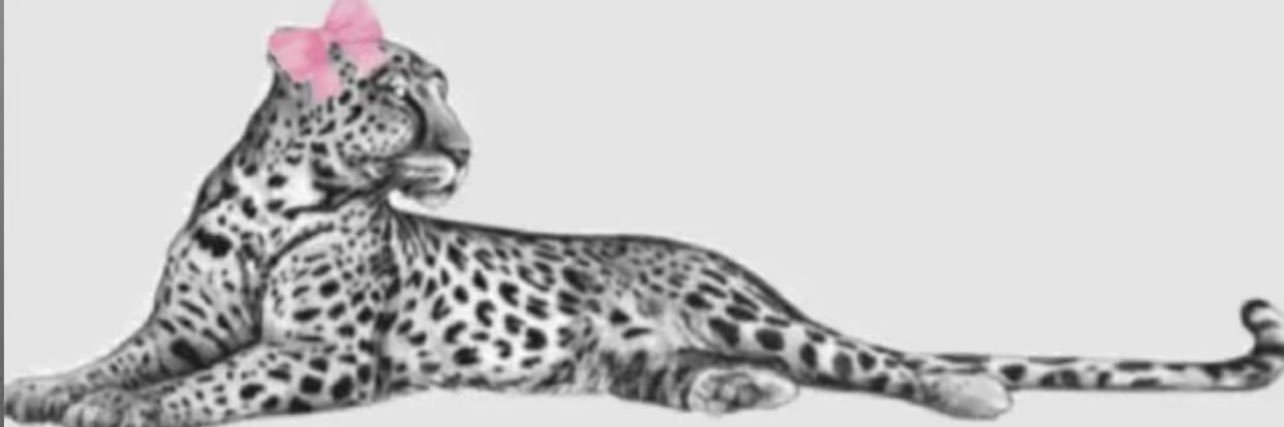 55Leeo's profile banner image