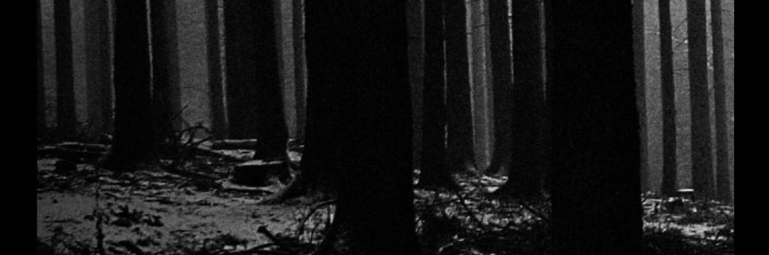 _sjsjw's profile banner image