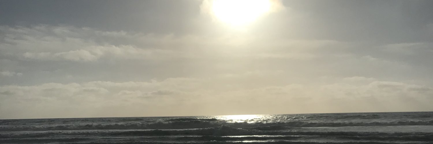 frozonelife's profile banner image