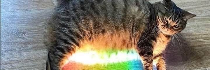 ElixCyrus's profile banner image