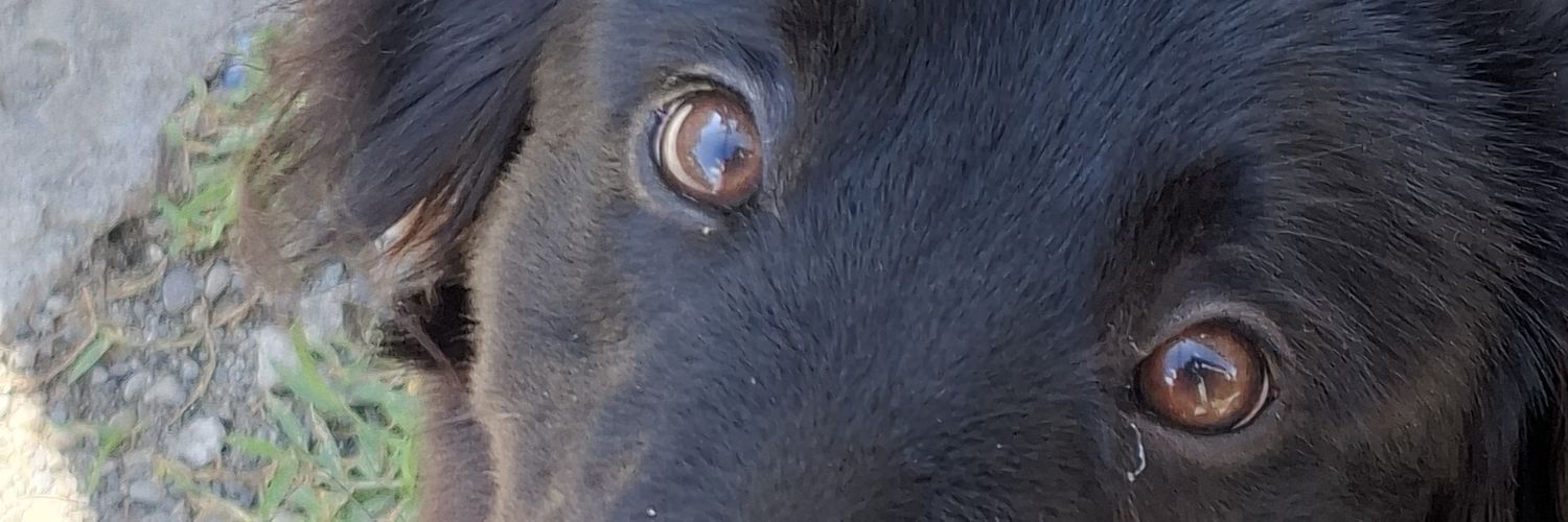 havanahrm's profile banner image