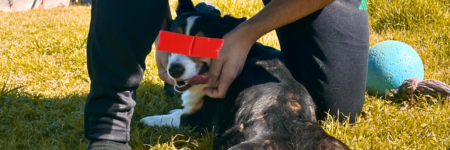 sunwlrse's profile banner image