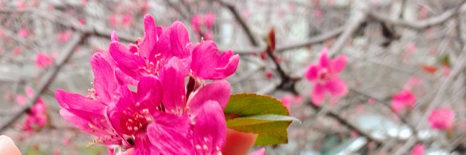 Pausik2's profile banner image