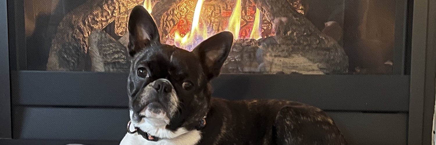 GinaSixtyThree's profile banner image