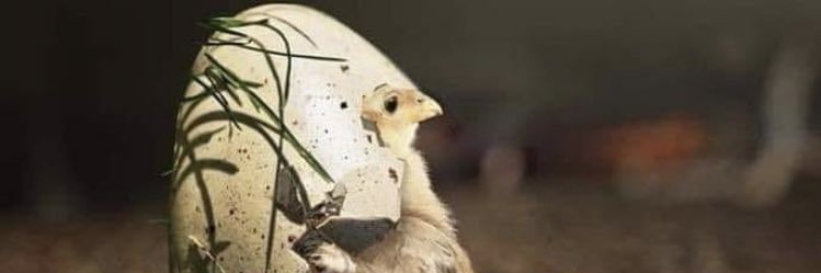 _qwert_11's profile banner image