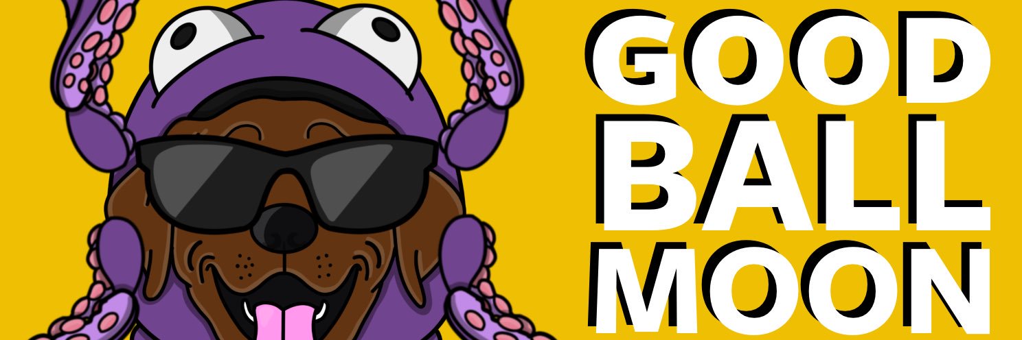 choctopustrings banner