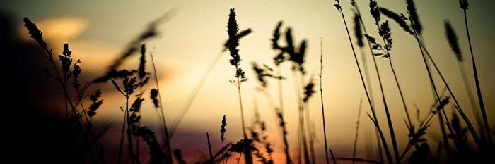 TractorParts1's profile banner image