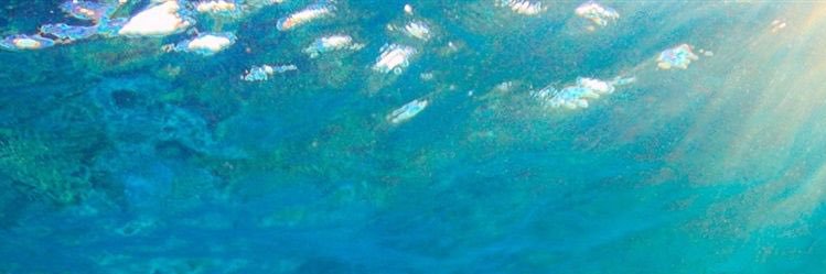 Prisca Obidike, MD banner