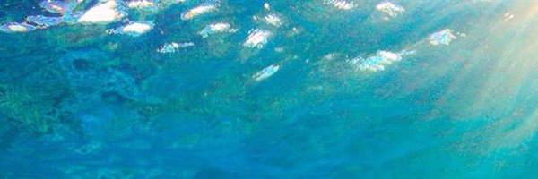 ThePriscaO Profile Banner