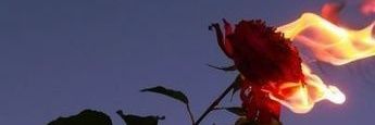 HunterMicaela's profile banner image