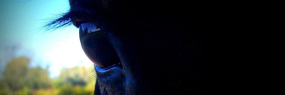 BianSanchez's profile banner image