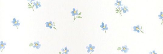 𝒅 banner