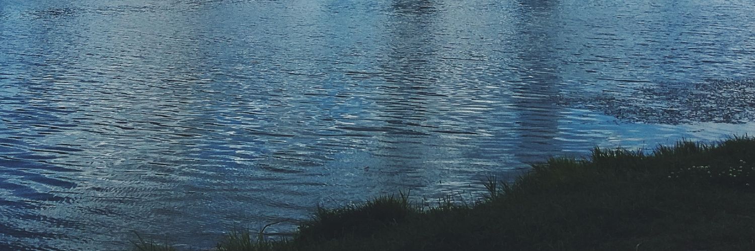 vikahunova's profile banner image